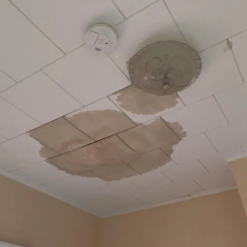 Ceiling Water Damage Repair in Columbia County, FL
